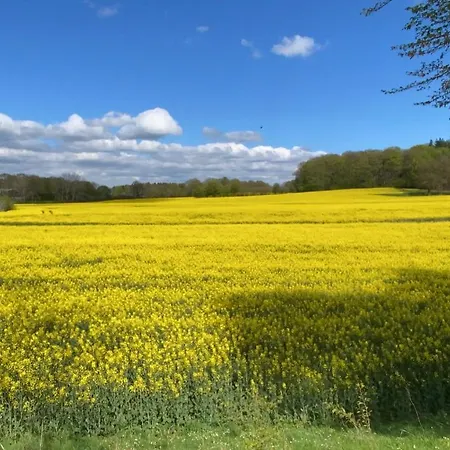 Lejlighed Schoene Mit Garten Beim Outletcenter 5 Km *